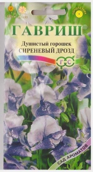 Душистый горошек Сиреневый дрозд (Код: 13452)