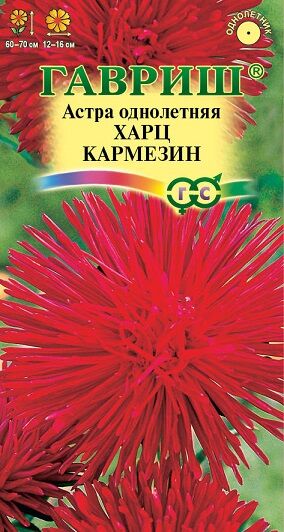 Астра Харц Кармезин (Код: 91272)