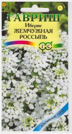 Иберис Жемчужная россыпь (Код: 9362)