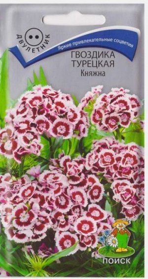 Гвоздика Турецкая Княжна (Код: 72308)