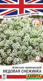 Алиссум Медовая снежинка (Код: 90969)