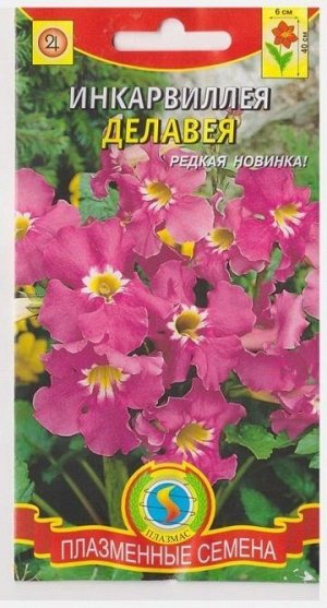 Инкарвеллия Делавея (Код: 75908)