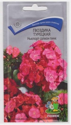 Гвоздика Турецкая Ньюпорт Салмон Пинк (Код: 66943)