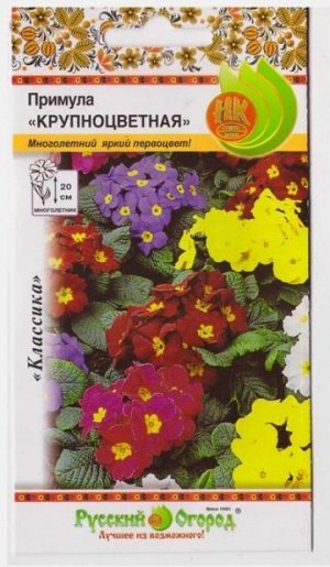 Примула Крупноцветная смесь (Код: 2140)