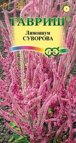Лимониум Суворова (Код: 9553)