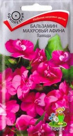 Бальзамин Афина Паллада махровый (Код: 83100)