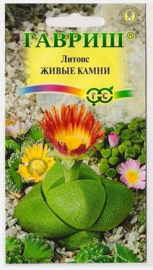 Литопс Живые камни (Код: 13166)