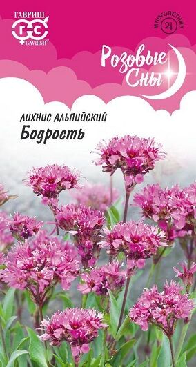 Лихнис Бодрость (Код: 91290)