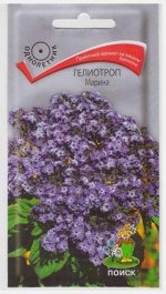 Гелиотроп Марина (Код: 65541)