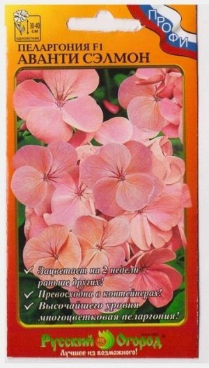 Пеларгония Аванти F1 Сэлмон (Код: 4156)