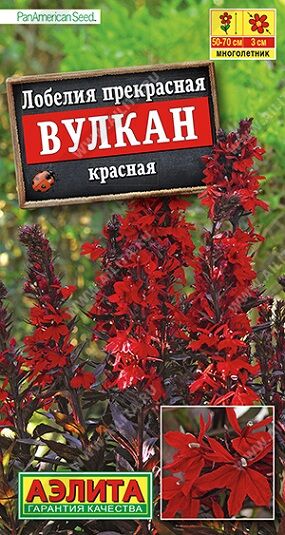 Лобелия Вулкан Красная (Код: 87672)