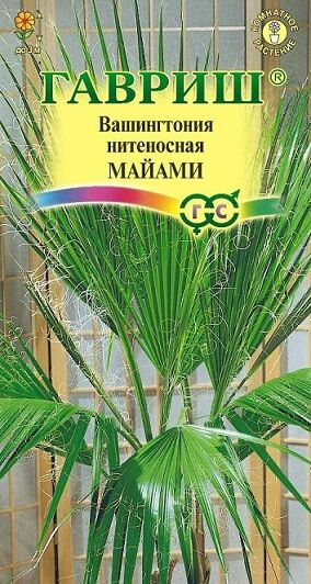 Вашингтония Майами нитеносная (Код: 67014)