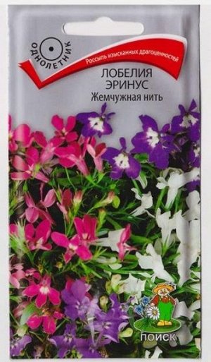 Лобелия Жемчужная нить эринус (Код: 66897)