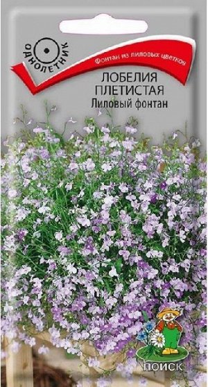 Лобелия Лиловый фонтан плет (Код: 72320)