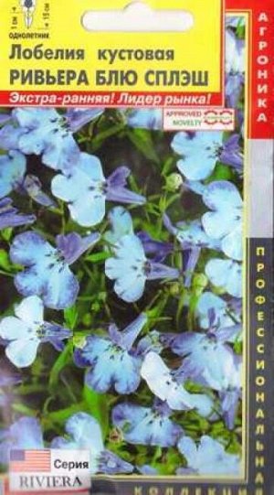 Лобелия Ривьера Блю Сплэш (Код: 84949)