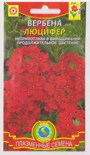 Вербена Люцифер (Код: 75143)