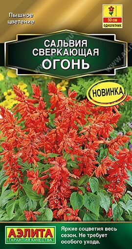 Сальвия Огонь (Код: 91034)