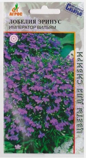 Лобелия эринус Император Вильям (Код: 73003)