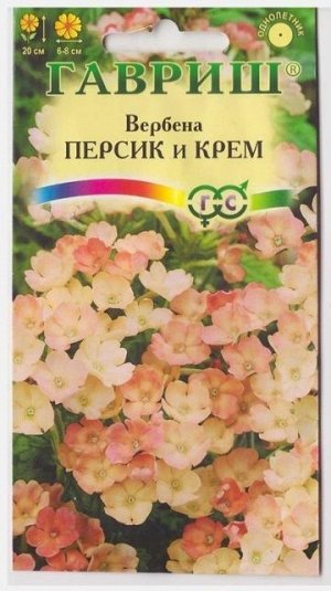 Вербена Персик и Крем (Код: 4398)