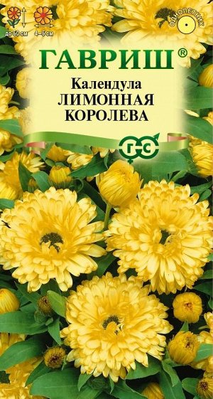 Календула Лимонная королева (Код: 91228)