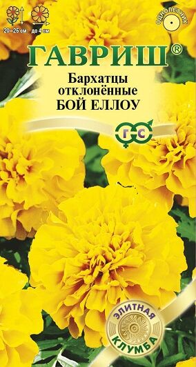 Бархатцы Бой Еллоу (Код: 91277)