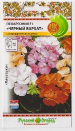 Пеларгония Черный бархат F1 (Код: 7059)