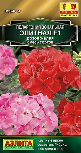Пеларгония Элитная розово-алая F1 (Код: 91078)