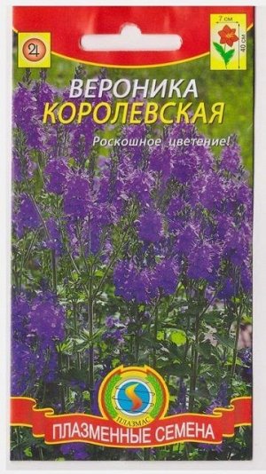 Вероника Королевская (Код: 75813)
