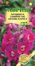 Львиный зев Антик Парпл (Код: 90652)