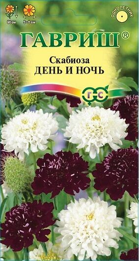 Скабиоза День и Ночь (Код: 90698)