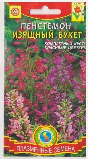 Пенстемон Изящный Букет (Код: 76050)