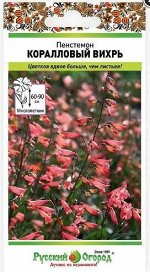 Пенстемон Коралловый вихрь (Код: 91205)