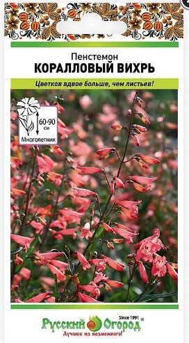 Пенстемон Коралловый вихрь (Код: 91205)