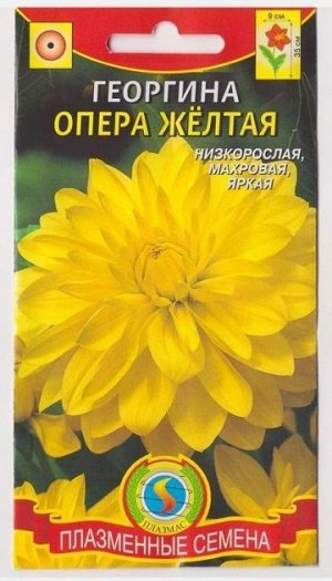 Георгина Опера Желтая (Код: 75179)