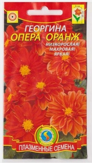 Георгина Опера Оранж (Код: 75181)