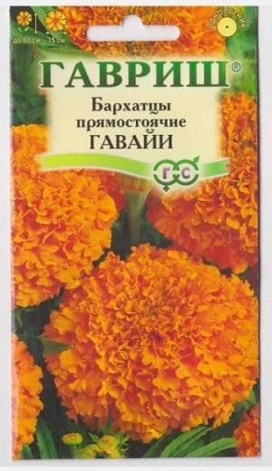 Бархатцы Гавайи (Код: 9271)