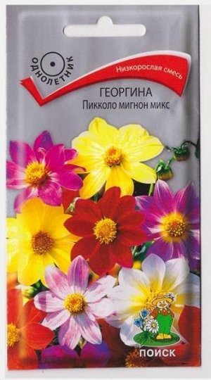 Георгина Пикколо Мигнон Микс (Код: 14569)