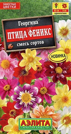 Георгина Птица Феникс (смесь) (Код: 91001)