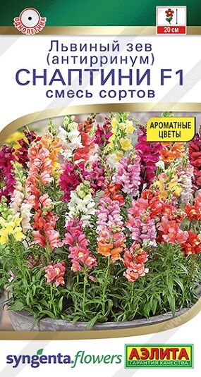 Львиный зев Снаптини (Код: 91018)