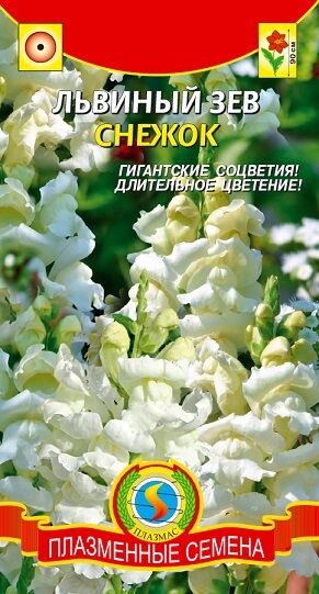 Львиный зев Снежок (Код: 91093)