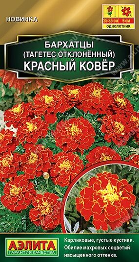 Бархатцы Красный ковер (Код: 90979)