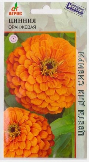Цинния Оранжевая (Код: 67837)