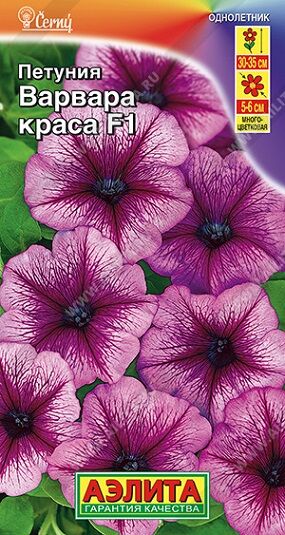 Петуния Варвара Краса F1 (Код: 68398)