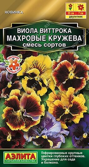Виола Махровые кружева (Код: 90991)