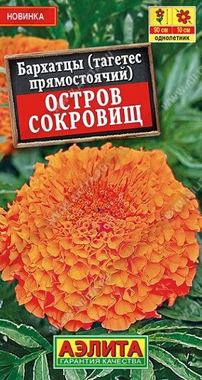 Бархатцы Остров сокровищ (Код: 90981)