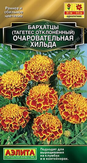 Бархатцы Очаровательная Хильда (Код: 90982)