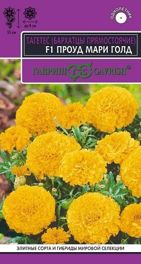 Бархатцы Проуд мари голд (Код: 91344)