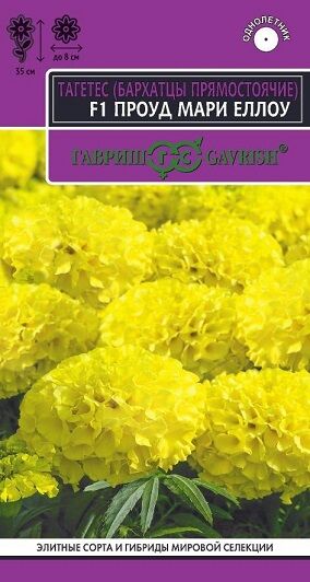 Бархатцы Проуд мари еллоу (Код: 91226)