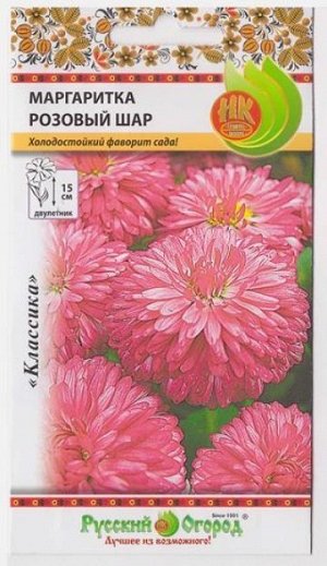 Маргаритка Розовый шар (Код: 554)