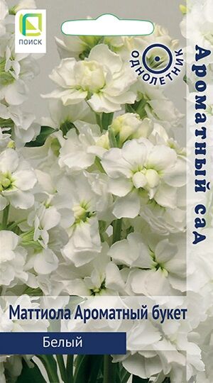 Маттиола Ароматный Букет Белый (Код: 91181)